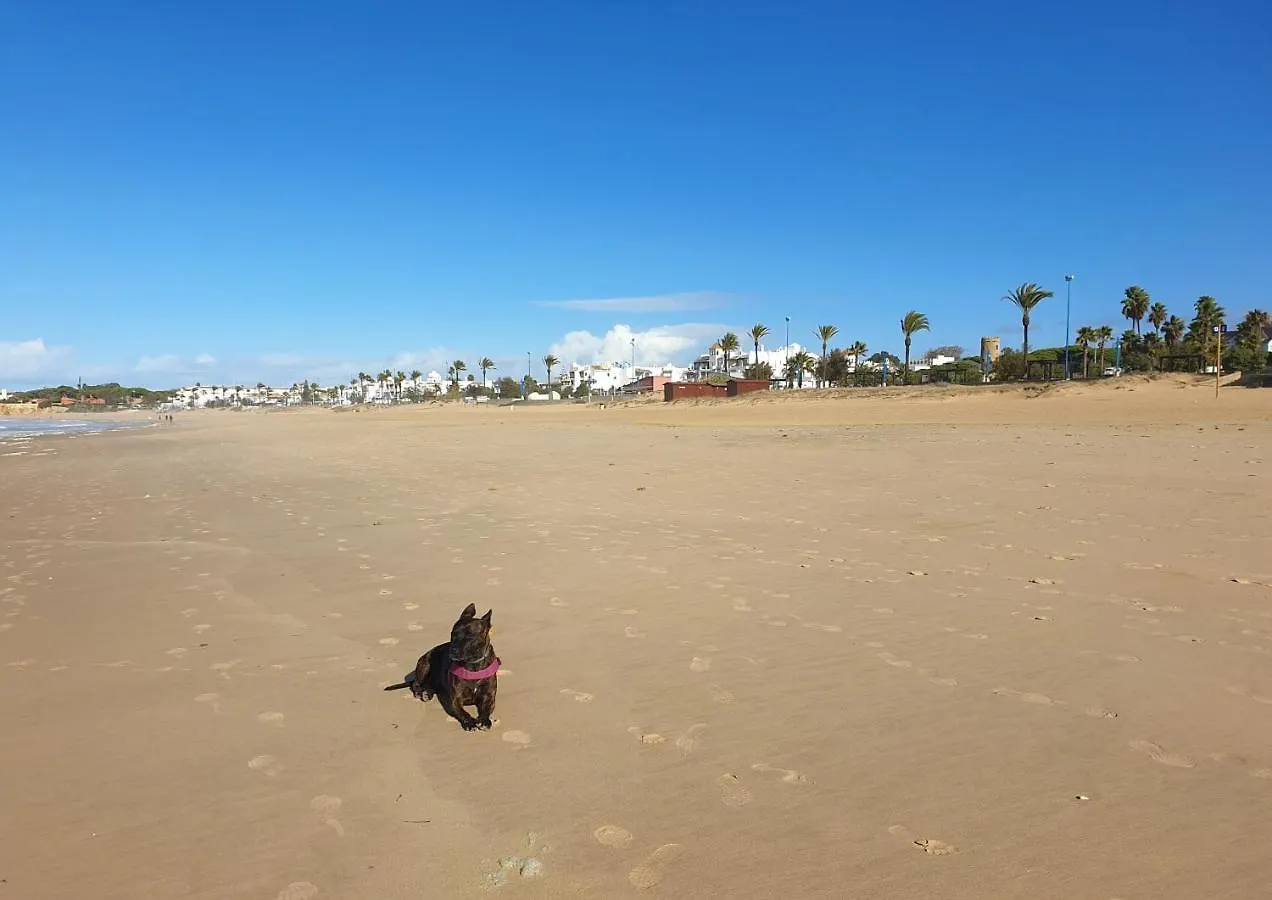 Сasa de vacaciones Mermaid House- pareado boutique - playa a 150m opcion piscina Chiclana de la Frontera